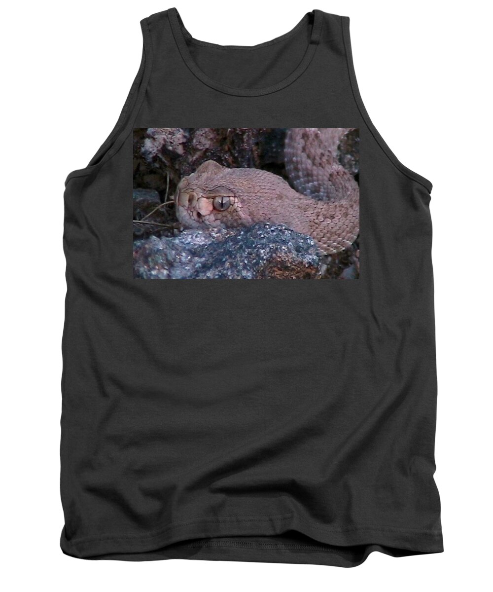  Rattlers Tank Top featuring the photograph Rattlesnake Portrait by Judy Kennedy