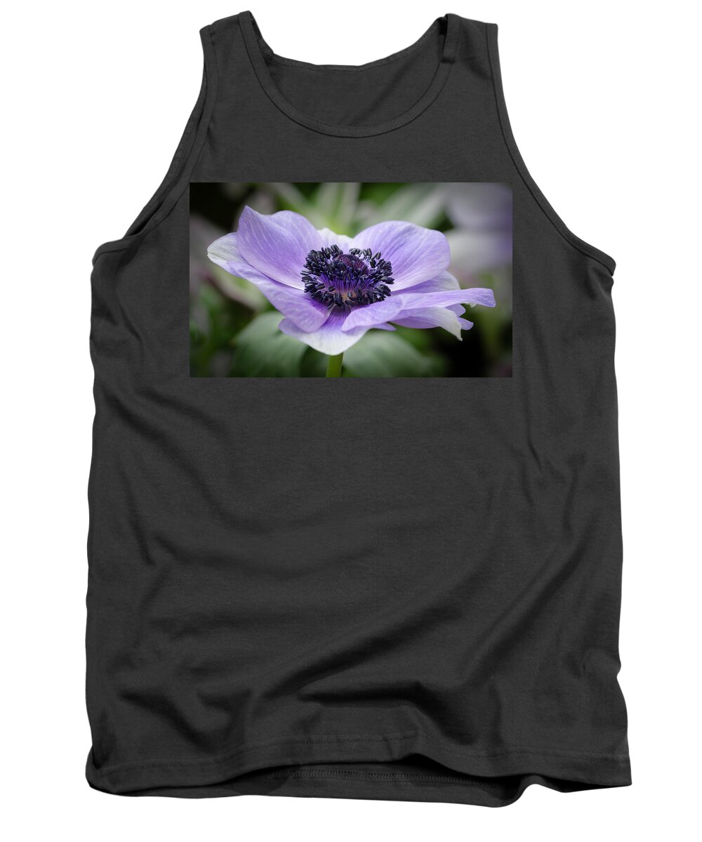 Longwood Gardens Tank Top featuring the photograph Reaching for the Sun by Georgette Grossman