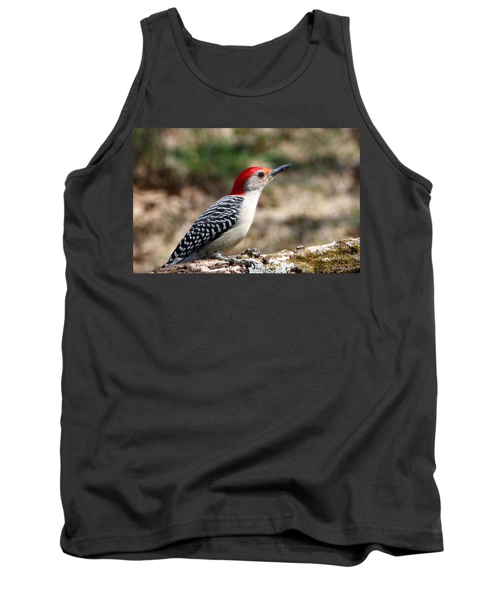 Nature Tank Top featuring the photograph Red-bellied Woodpecker by Sheila Brown