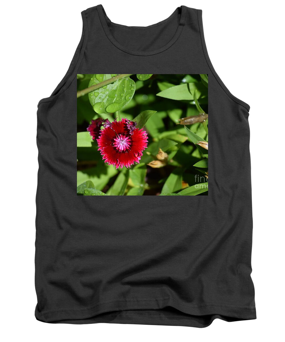 Red Flower Tank Top featuring the painting Red Bloom by Pamela Shearer