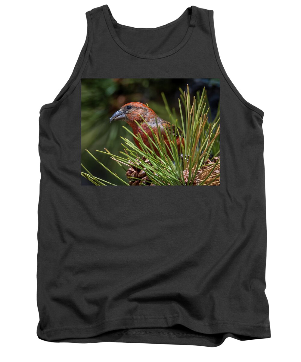 Nature Tank Top featuring the photograph Red Crossbill by Michael Cunningham