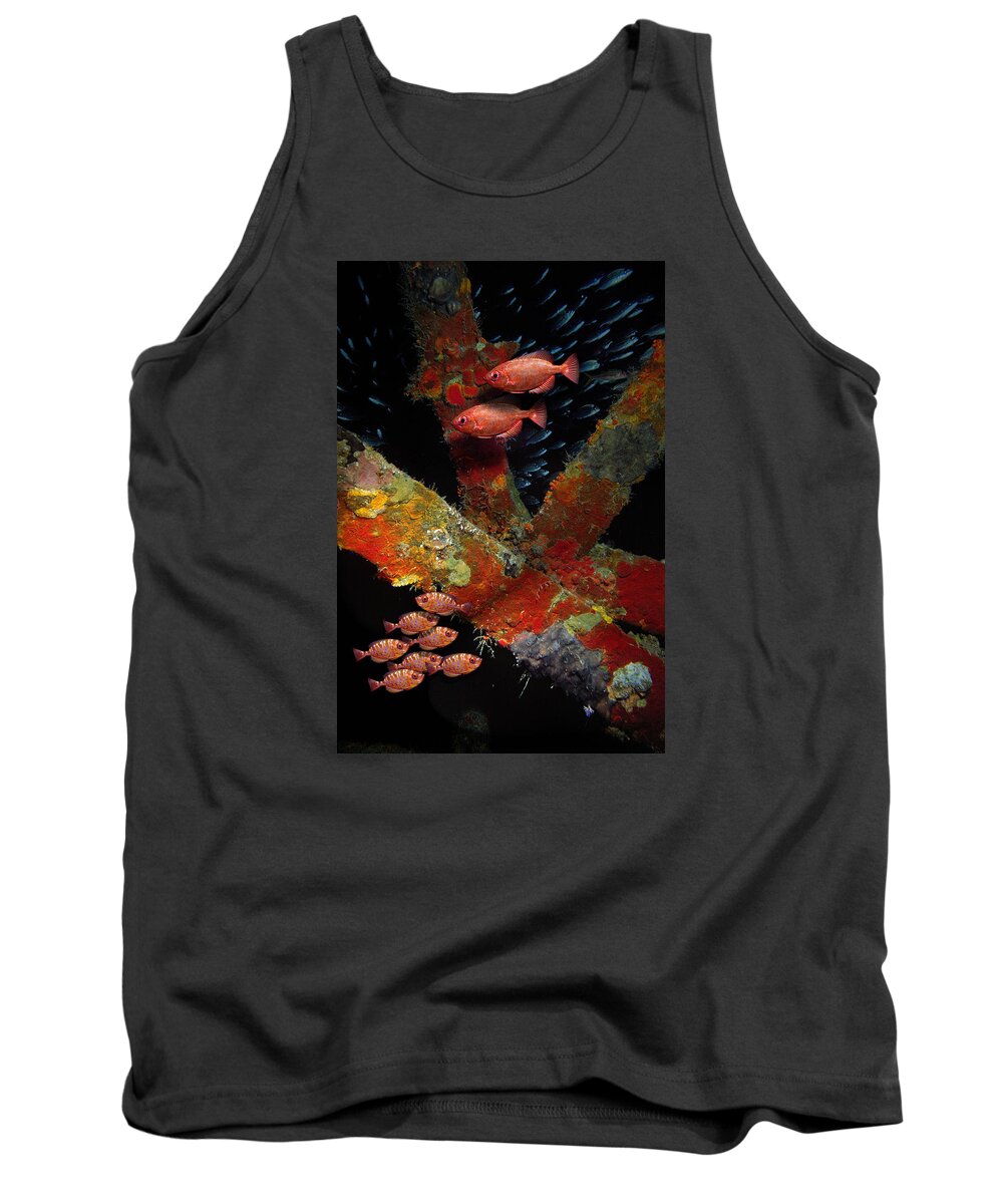 Sail Tank Top featuring the photograph Red fish on the Rhone by Gary Felton