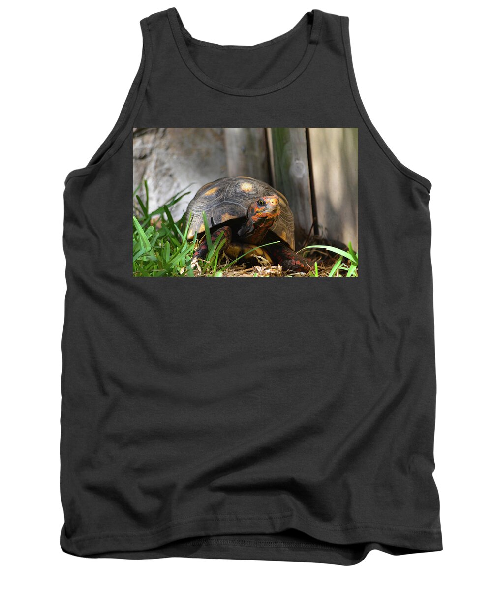 Red Tank Top featuring the photograph Red Footed Tortoise by Artful Imagery
