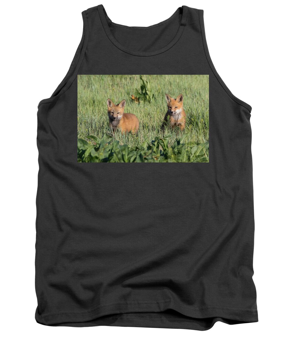 Fox Tank Top featuring the photograph Red Fox Kits Explore Their New World by Tony Hake