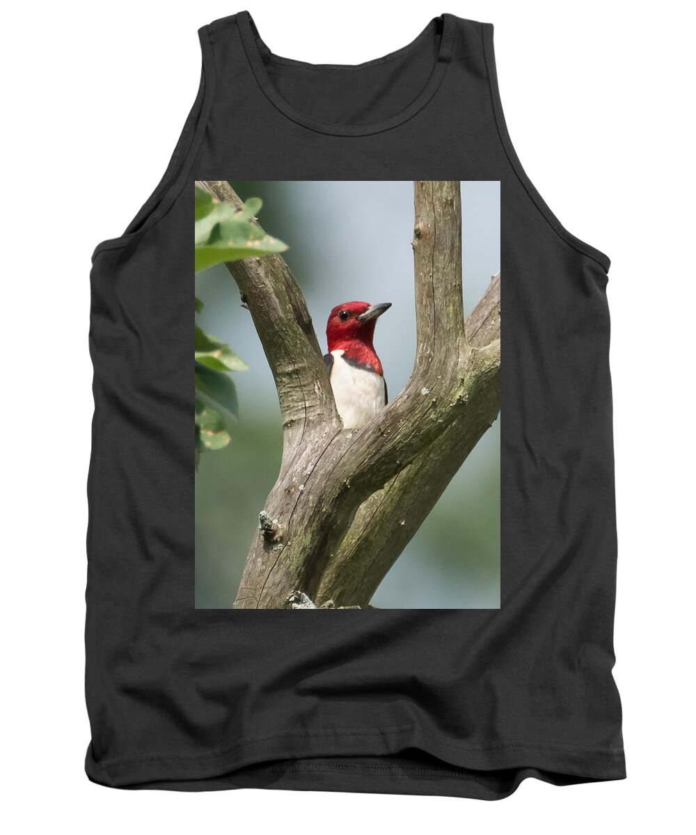 Red-headed Woodpecker Tank Top featuring the photograph Red-Headed Woodpecker by Holden The Moment