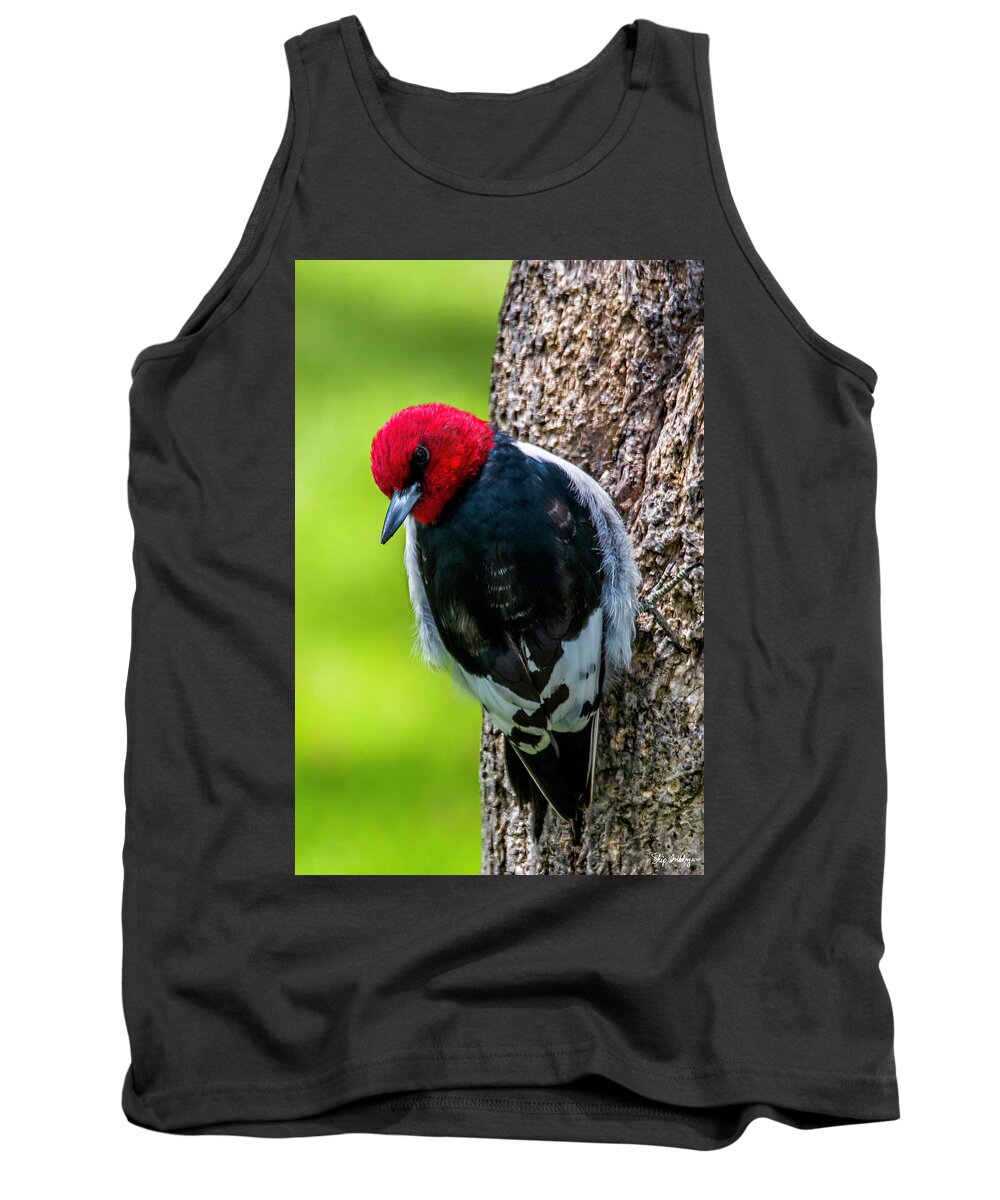 Bird Tank Top featuring the photograph Red-headed Woodpecker by Skip Tribby