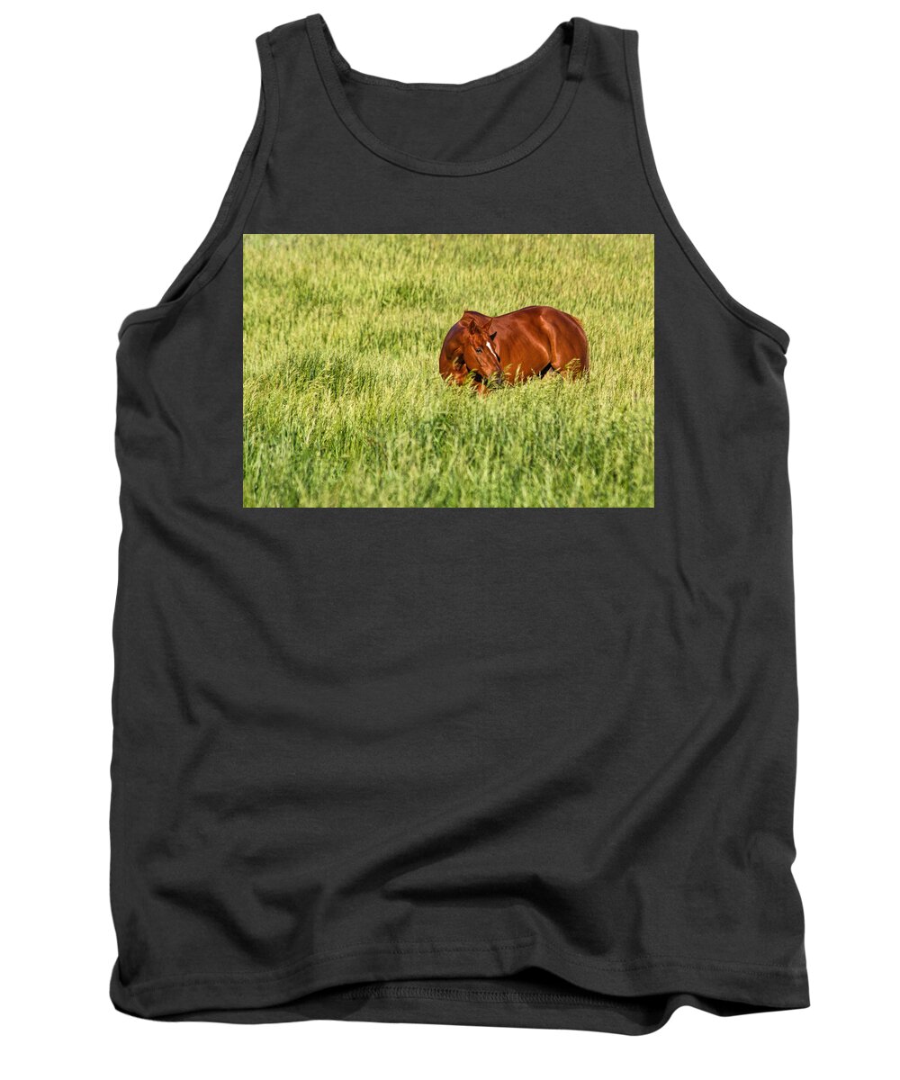 Horse Tank Top featuring the photograph Red Mare by Alana Thrower
