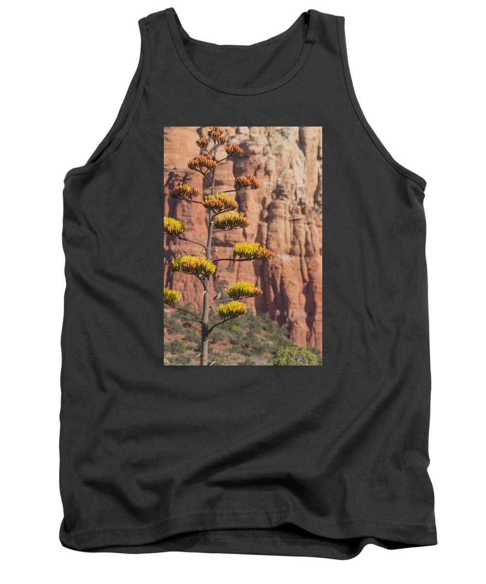 Century Plant Tank Top featuring the photograph Red Rocks and Century Plant by Laura Pratt