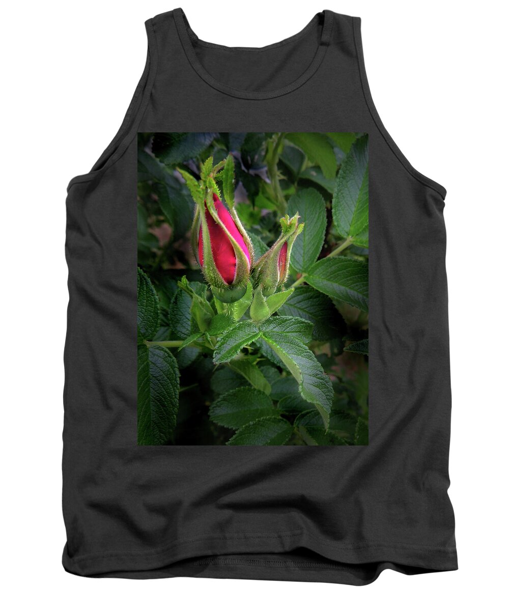 Rose Tank Top featuring the photograph Red Rugosia Bud by Nancy Griswold