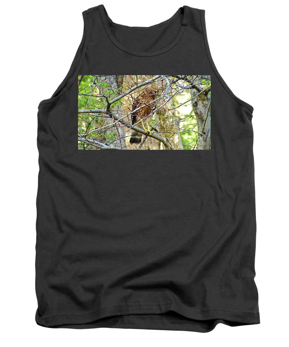 Hawk Tank Top featuring the photograph Red-shouldered Hawk by Eunice Warfel