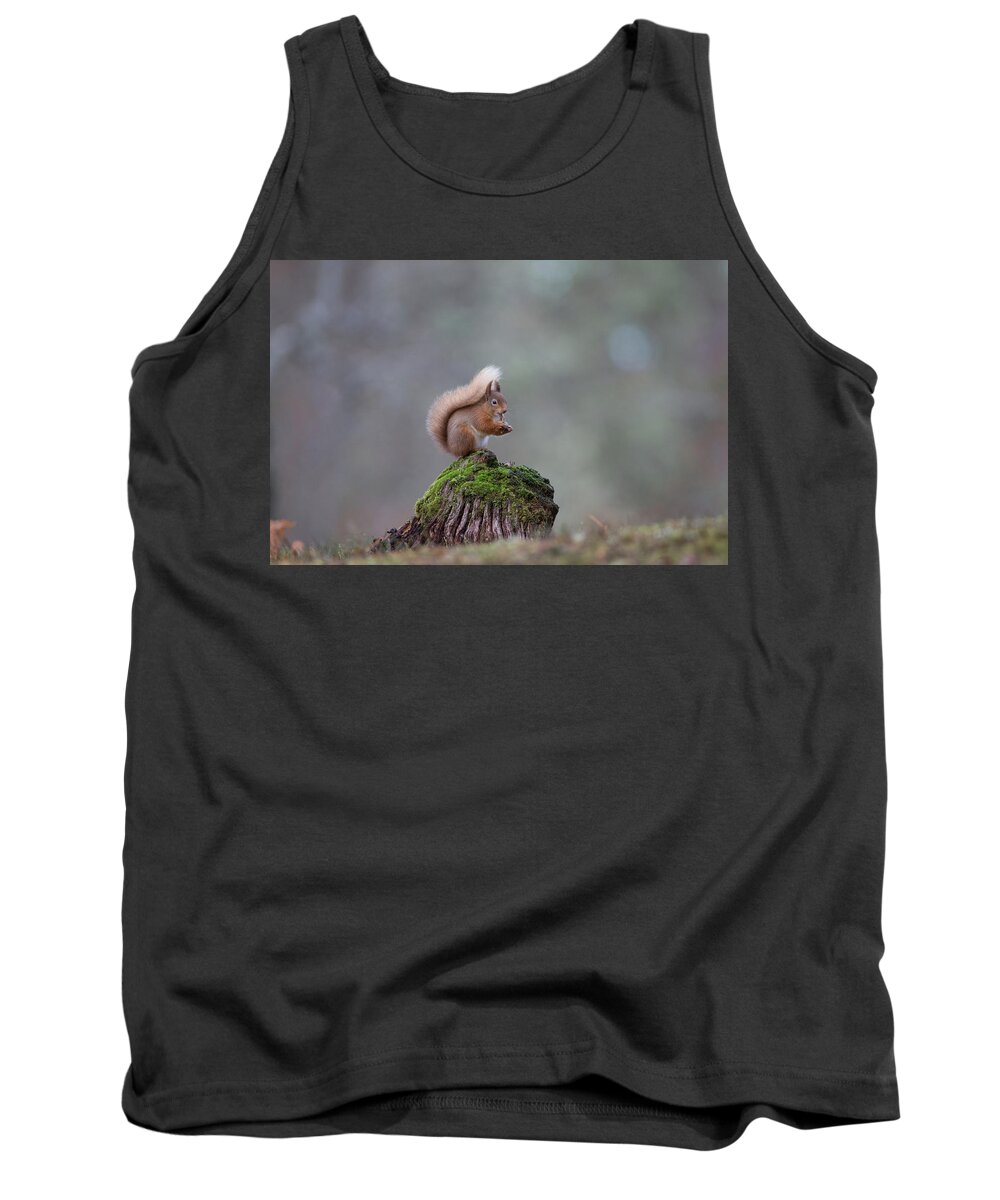 Red Tank Top featuring the photograph Red Squirrel Peeling A Hazelnut by Pete Walkden