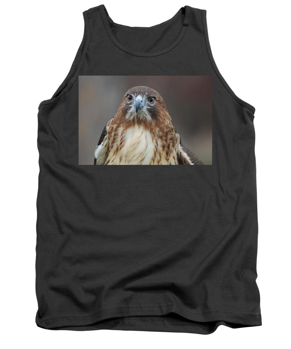 Hawk Tank Top featuring the photograph Red tailed hawk by Richard Bryce and Family