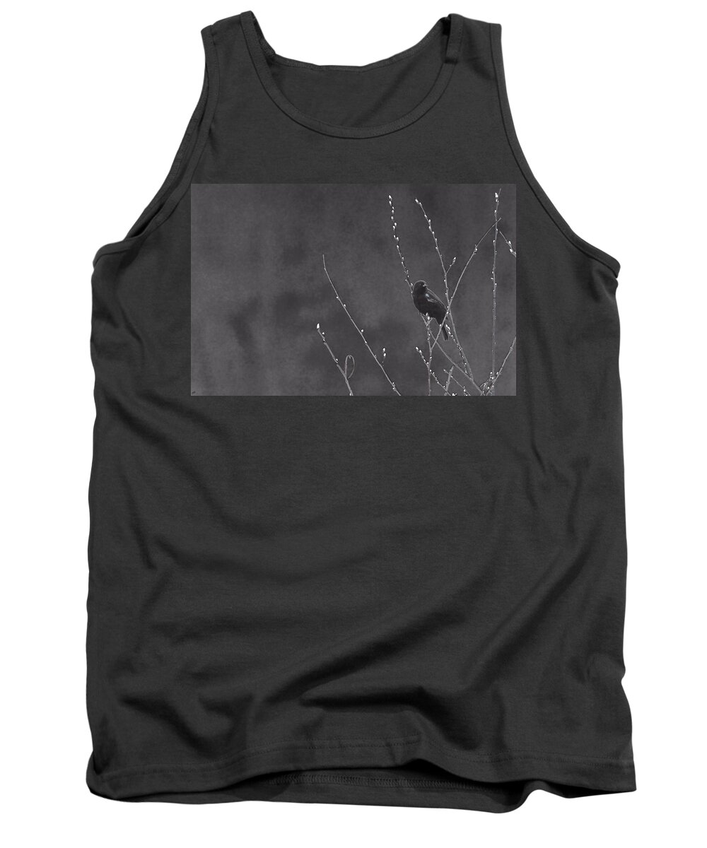 Red Winged Black Bird Tank Top featuring the photograph Red Winged Black Bird by Karol Livote
