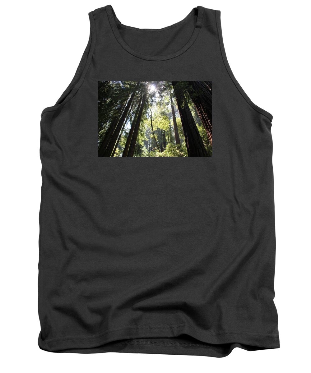 Redwoods Tank Top featuring the photograph @Redwoods by Jim McCullaugh