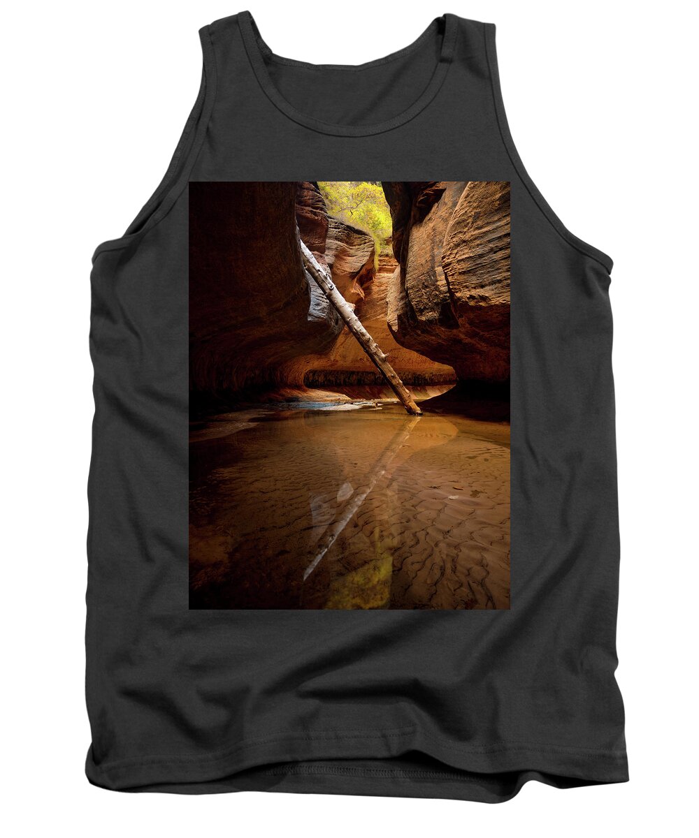 Zion Tank Top featuring the photograph Reunion by Dustin LeFevre