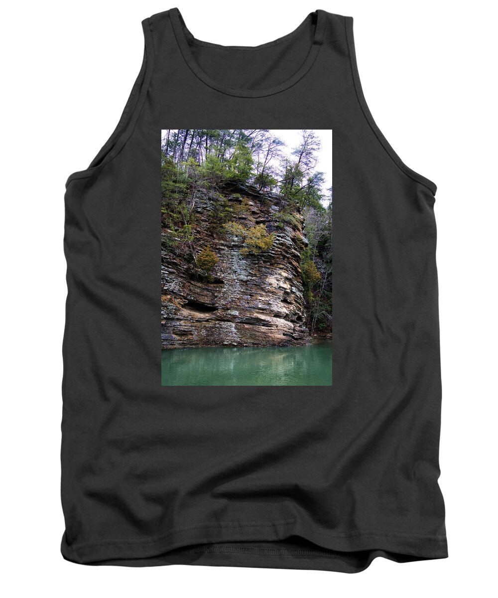Rock Tank Top featuring the photograph River Rock by George Taylor