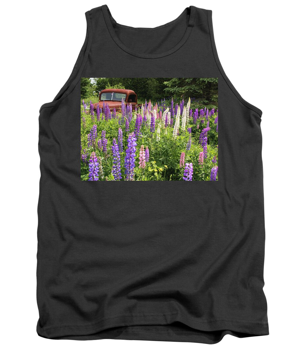 Lupines Tank Top featuring the photograph Roadside Attraction by Holly Ross