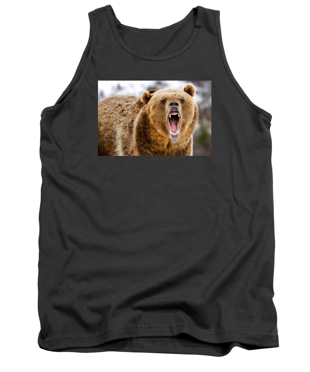 Bear Tank Top featuring the photograph Roaring Grizzly Bear by Scott Read