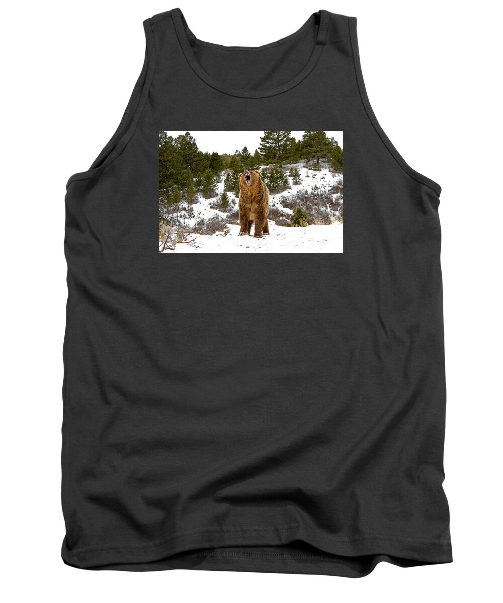 Bear Tank Top featuring the photograph Roaring Grizzly in Winter by Scott Read