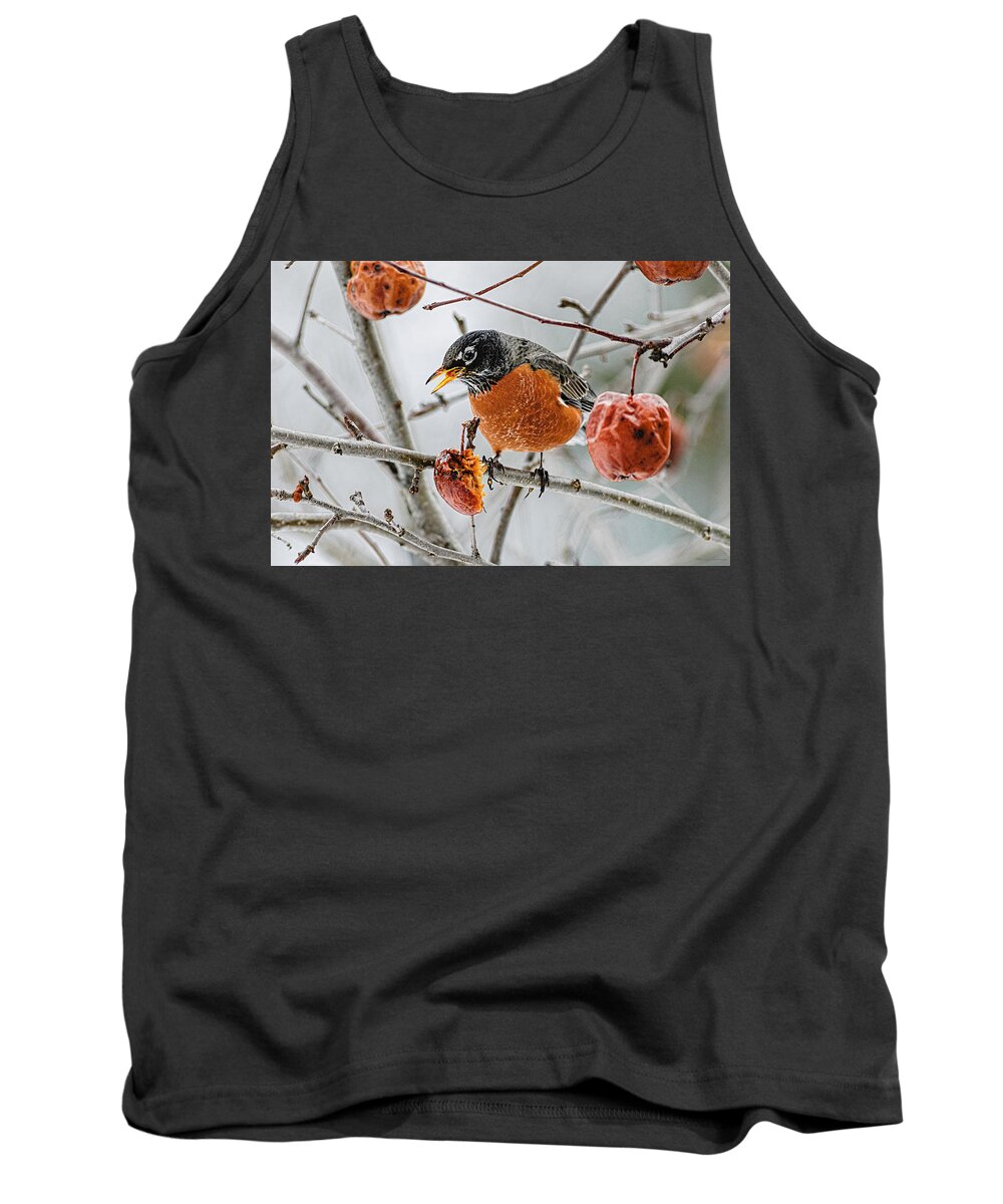 Robin Red Breast 3 Tank Top featuring the photograph Robin Red Breast 3 by Marty Saccone