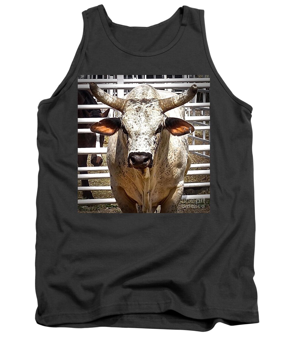 Wyoming Tank Top featuring the photograph Rodeo Bull by Elisabeth Derichs