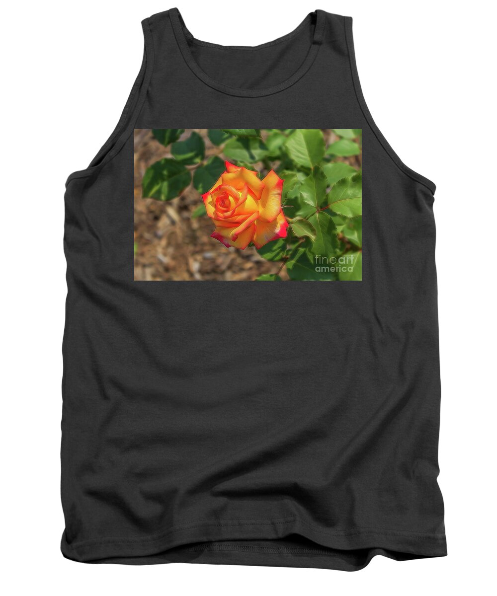  Rosa Peace Tank Top featuring the photograph Rosa Peace by Jim Lepard