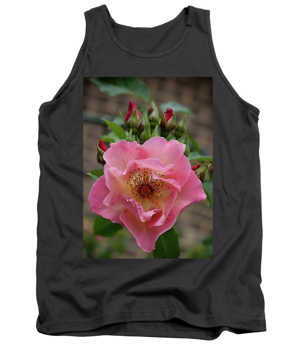 Floral Tank Top featuring the photograph Rose and buds by Shirley Mitchell