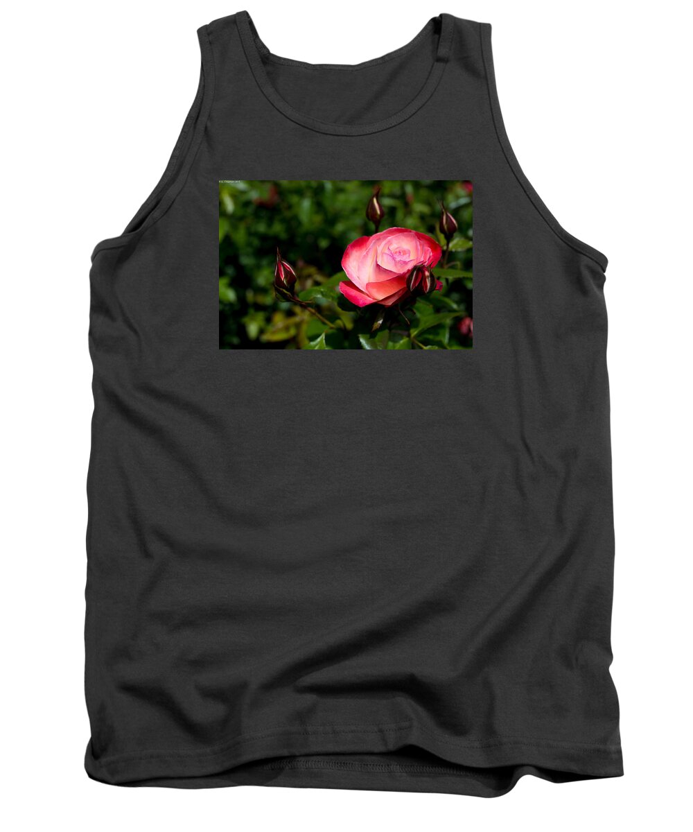 Flower Tank Top featuring the photograph Rose by Lora Lee Chapman