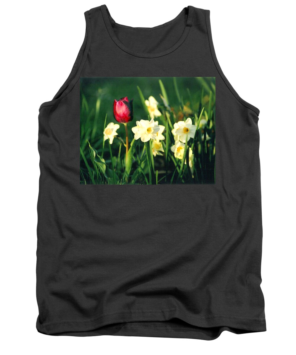 Tulips Tank Top featuring the photograph Royal Spring by Steve Karol