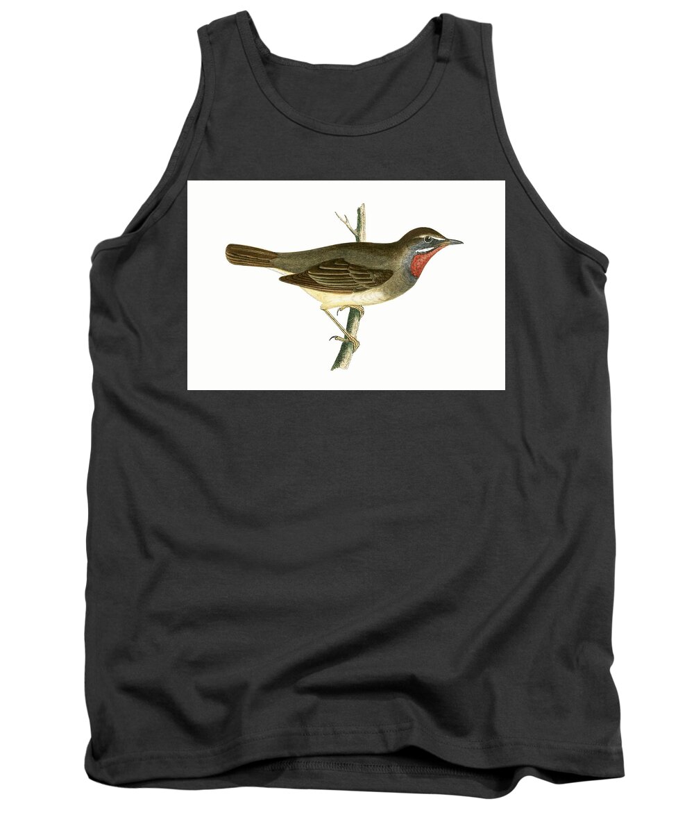 Bird Tank Top featuring the painting Ruby Throated Warbler by English School