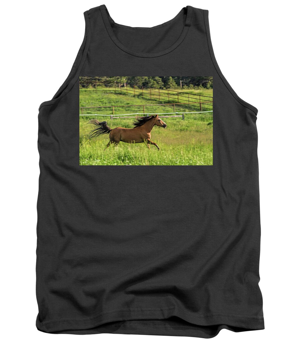 Equine Tank Top featuring the photograph Run Romeo by Alana Thrower