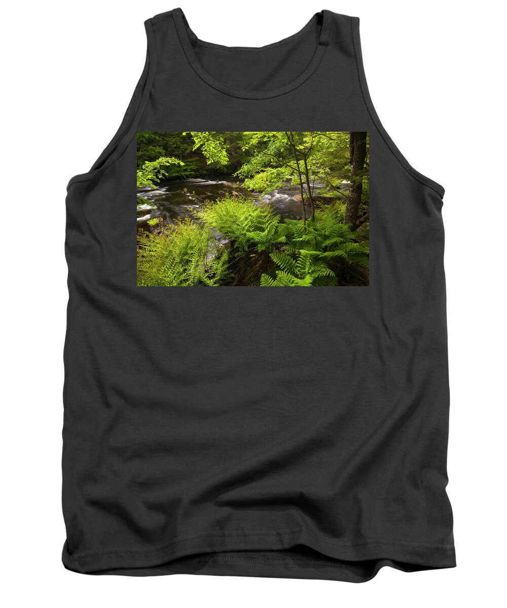 River Tank Top featuring the photograph Sackville River In Late Spring #1 by Irwin Barrett