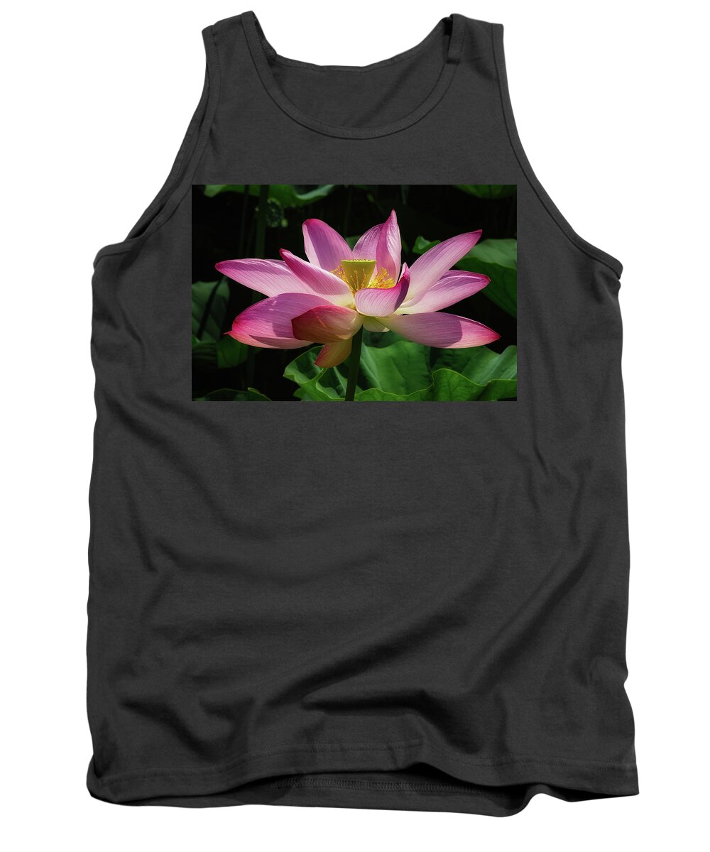 Lotus Tank Top featuring the photograph Sacred Lotus #2 by C Renee Martin