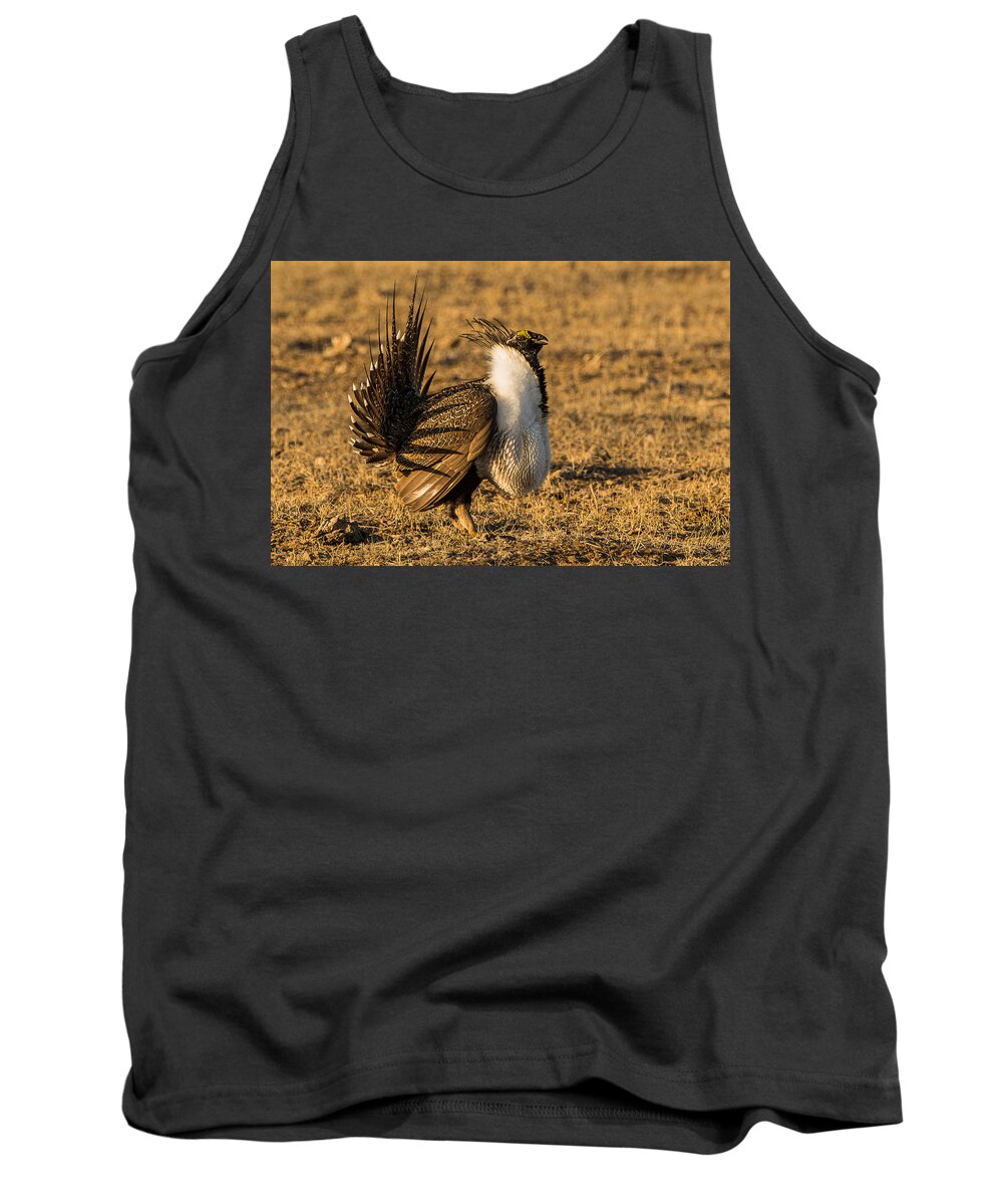 Sage Grouse Cock Tank Top featuring the photograph Sage Grouse Mating Display by Yeates Photography