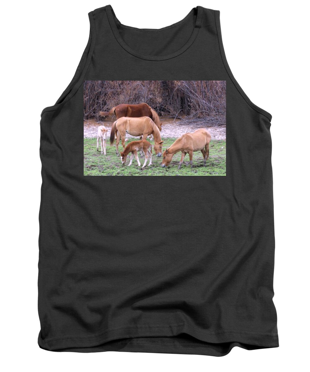 Arizona Tank Top featuring the photograph Salt River Wild Horses in Winter by Judy Kennedy