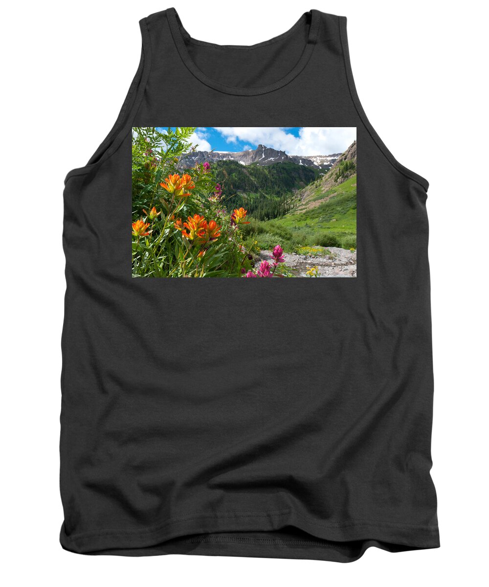 San Juans Tank Top featuring the photograph San Juans Indian Paintbrush Landscape by Cascade Colors