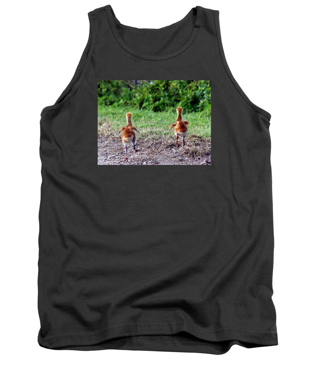 Animals Tank Top featuring the photograph Sandhill Crane Chicks 000 by Christopher Mercer