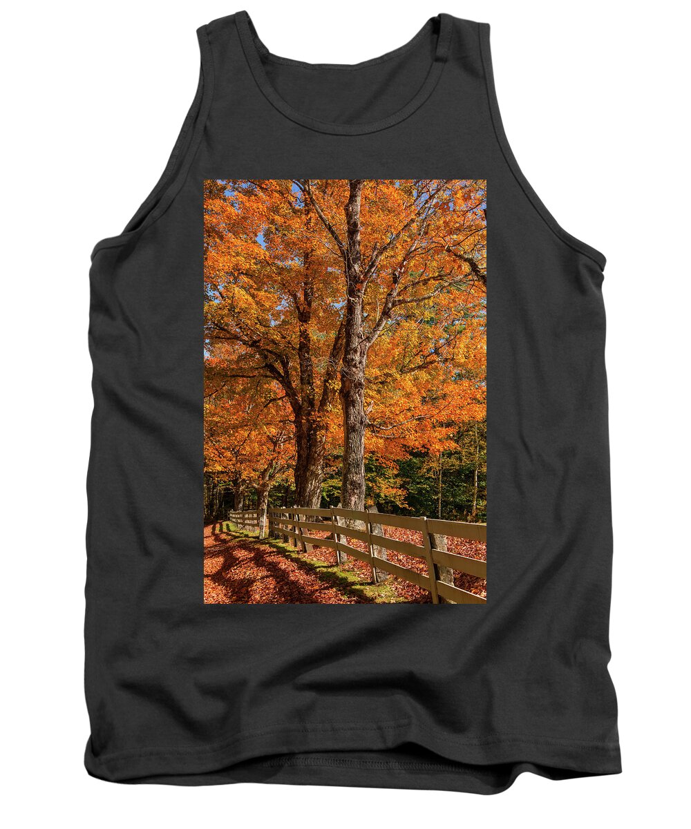 Sandwich Tank Top featuring the photograph Sandwich Autumn by White Mountain Images