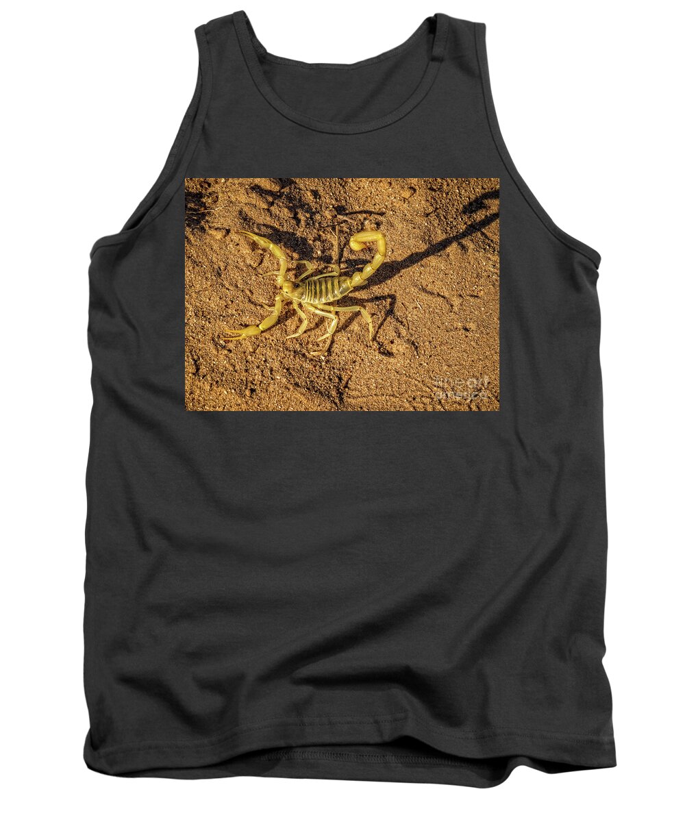 Poisonous Tank Top featuring the photograph Scorpion by Robert Bales