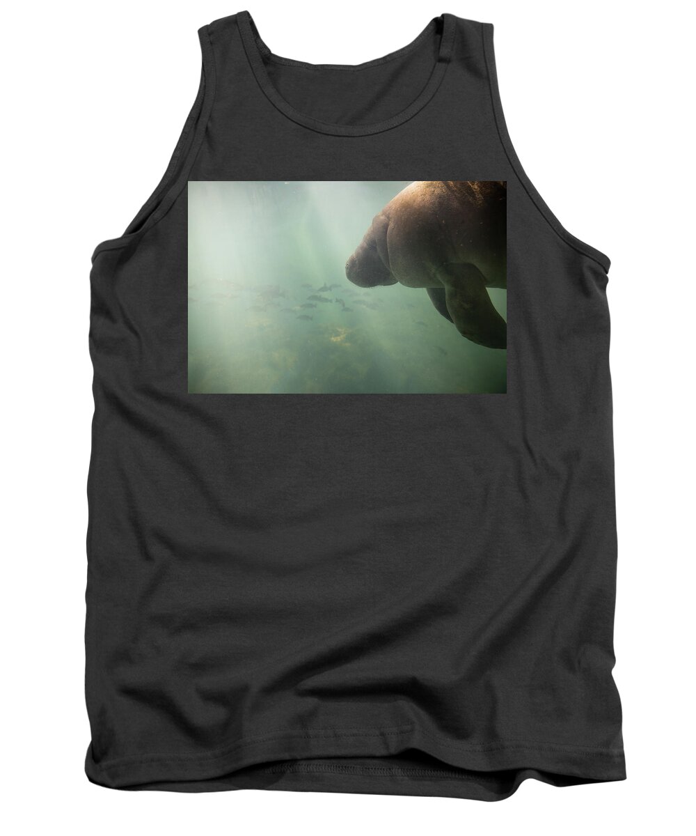 Manatee Tank Top featuring the photograph Sea Cow by Eilish Palmer