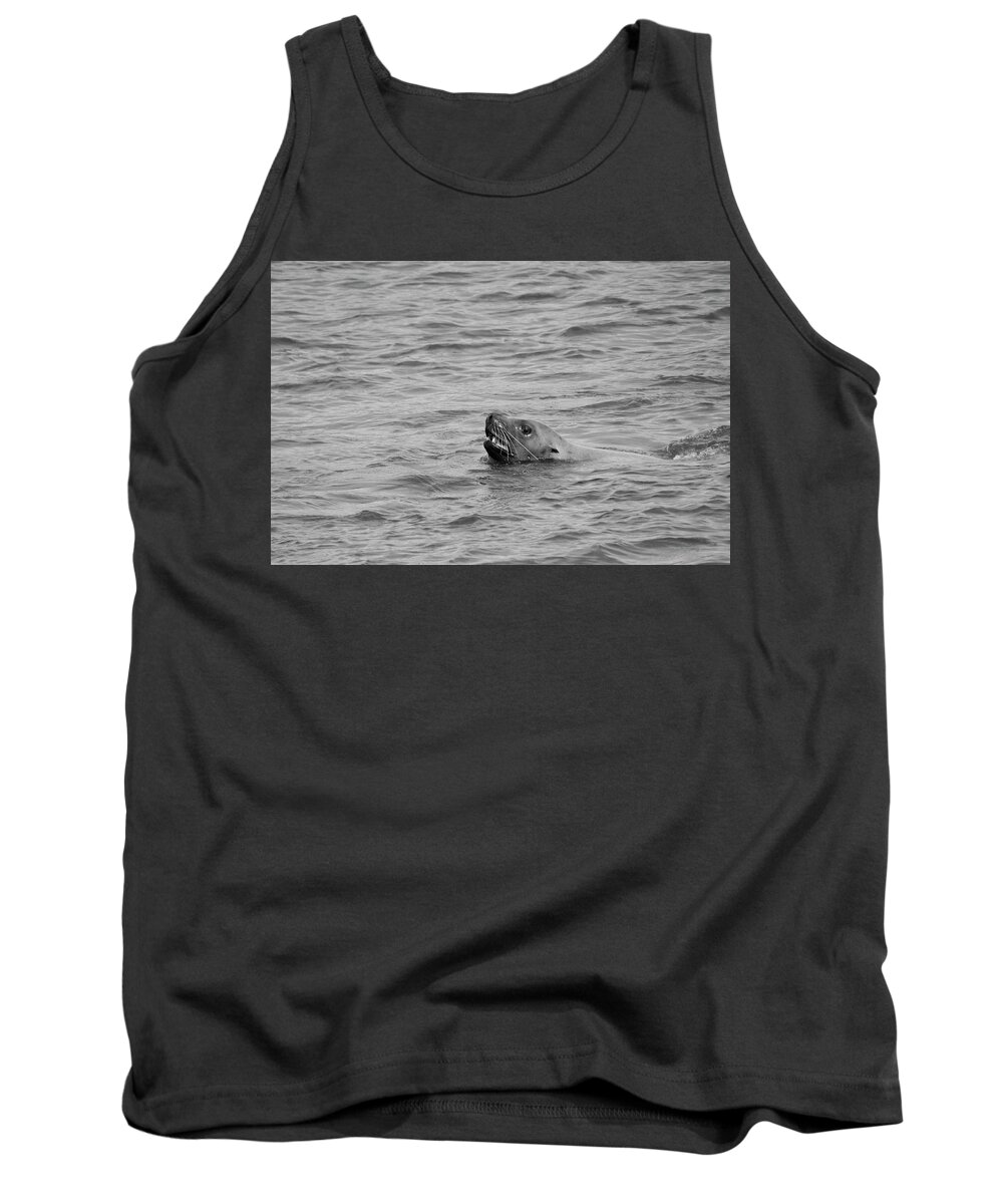 Animals Tank Top featuring the photograph Sea Lion in the Wild by Paul Ross