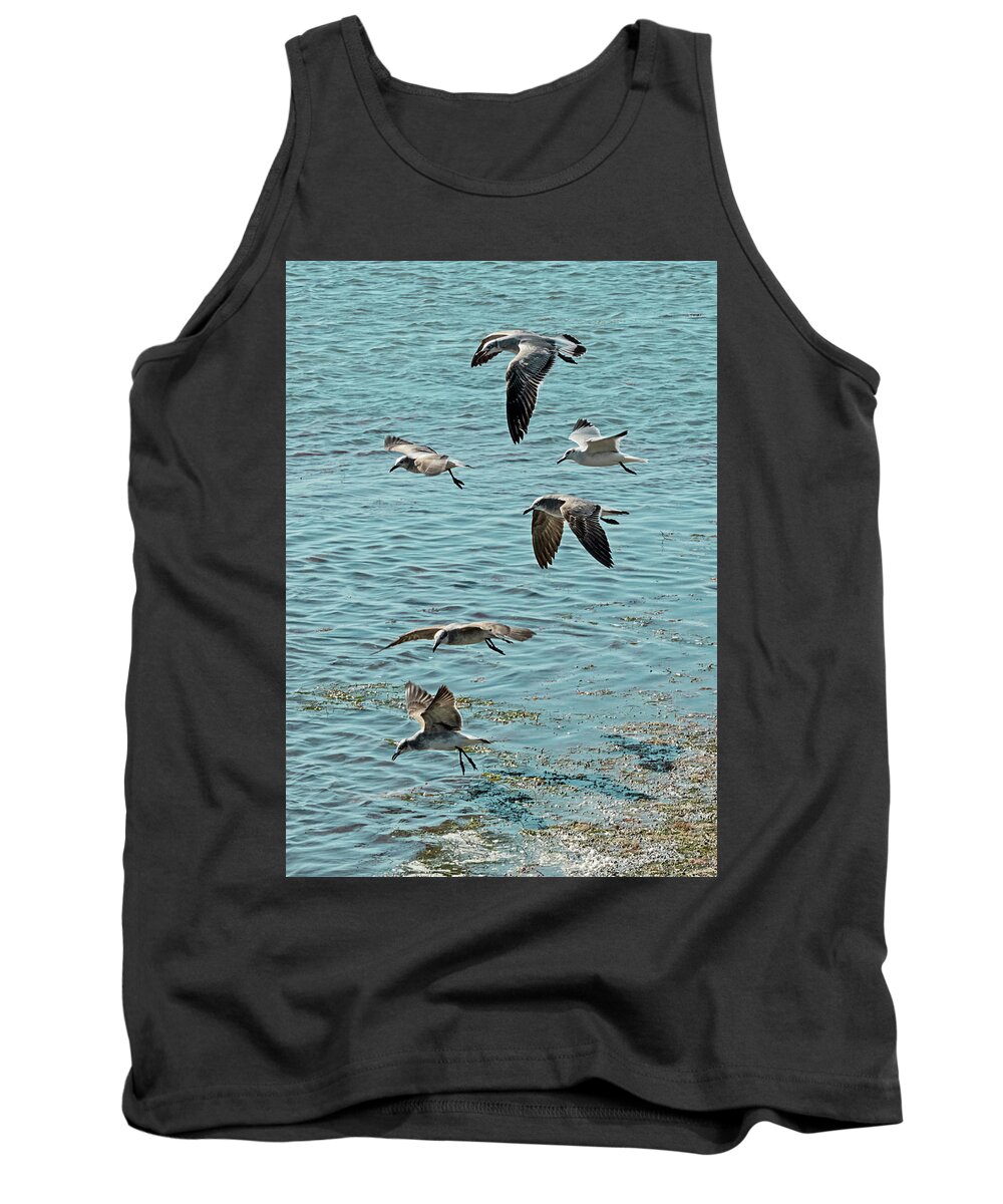 Seagull Tank Top featuring the photograph Seagulls and Terns in Key West by Bob Slitzan