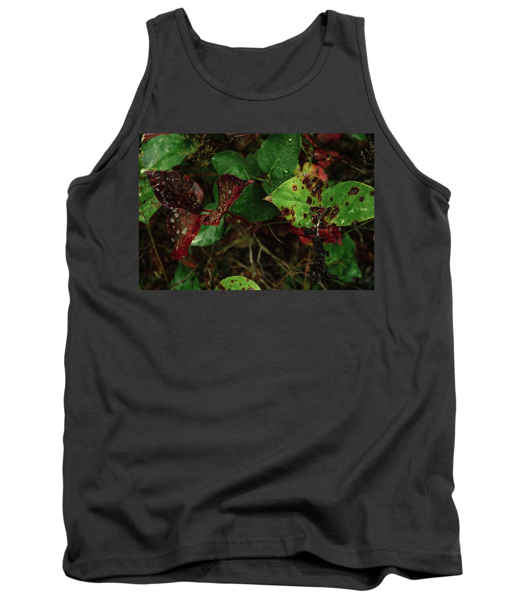 Leaves Tank Top featuring the photograph Season Color by Gene Garnace