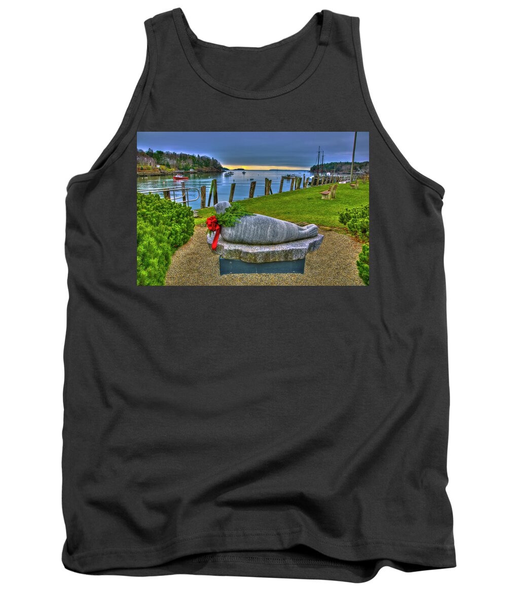 Andre The Seal Tank Top featuring the photograph Seasonal Andre by Jeff Cooper