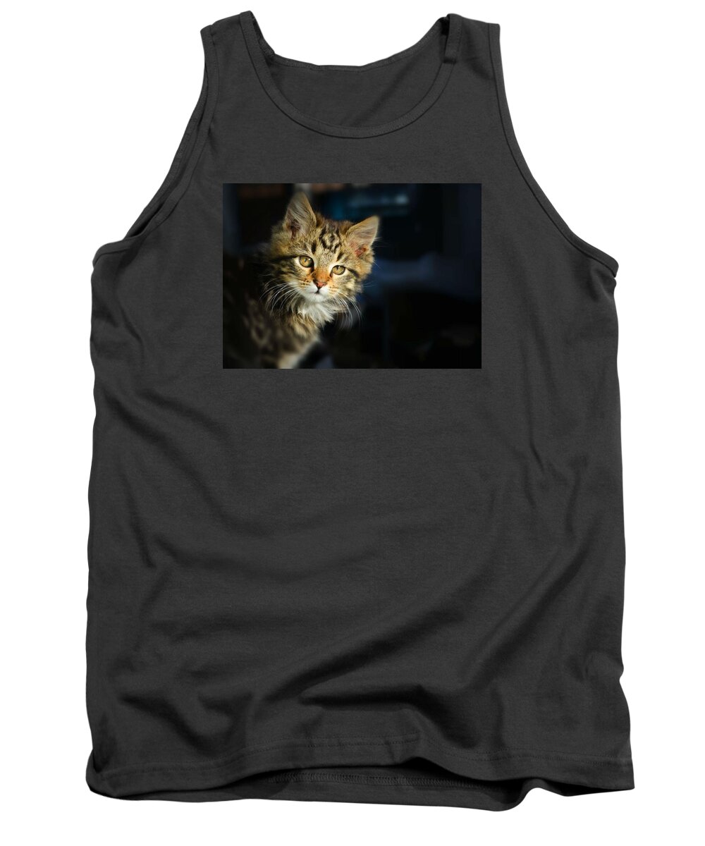 Cat Tank Top featuring the photograph Serious cat portrait by Rumiana Nikolova