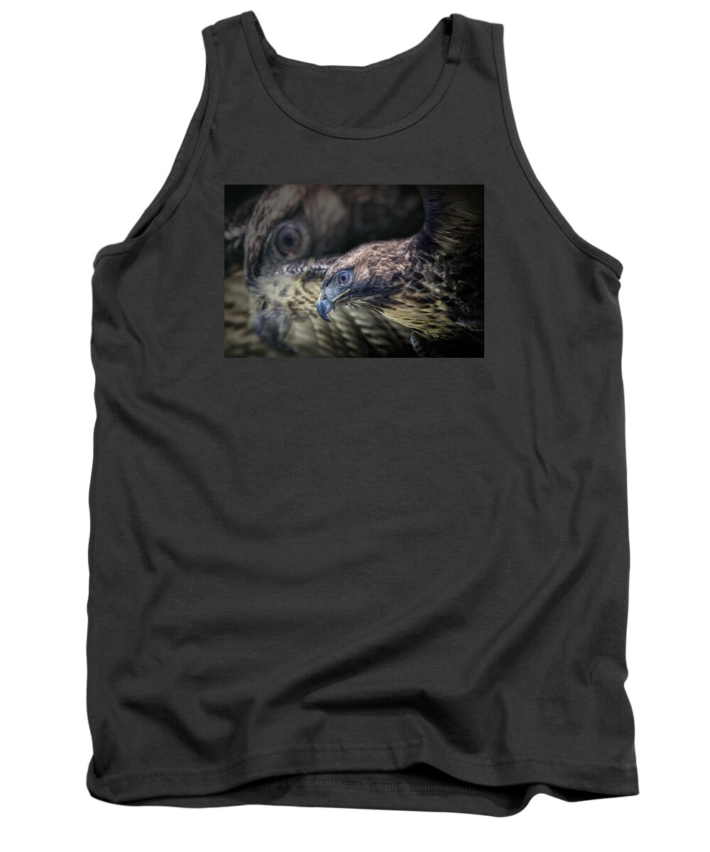 Crystal Yingling Tank Top featuring the photograph Shadows by Ghostwinds Photography