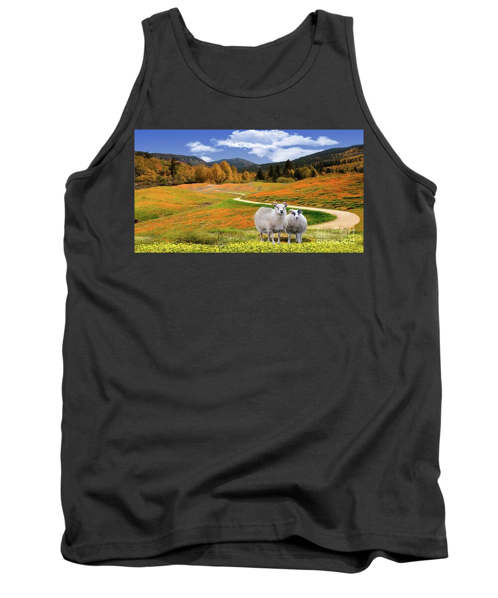 Sheep Tank Top featuring the photograph Sheep and Road Ver 3 by Larry Mulvehill