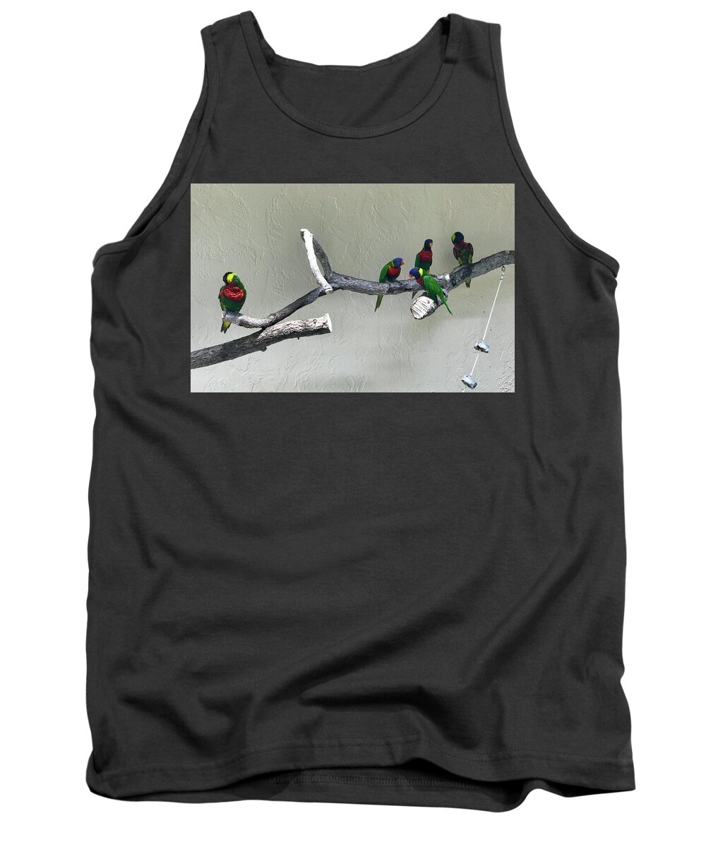 Birds Tank Top featuring the photograph Shunned by Laura Jaffe