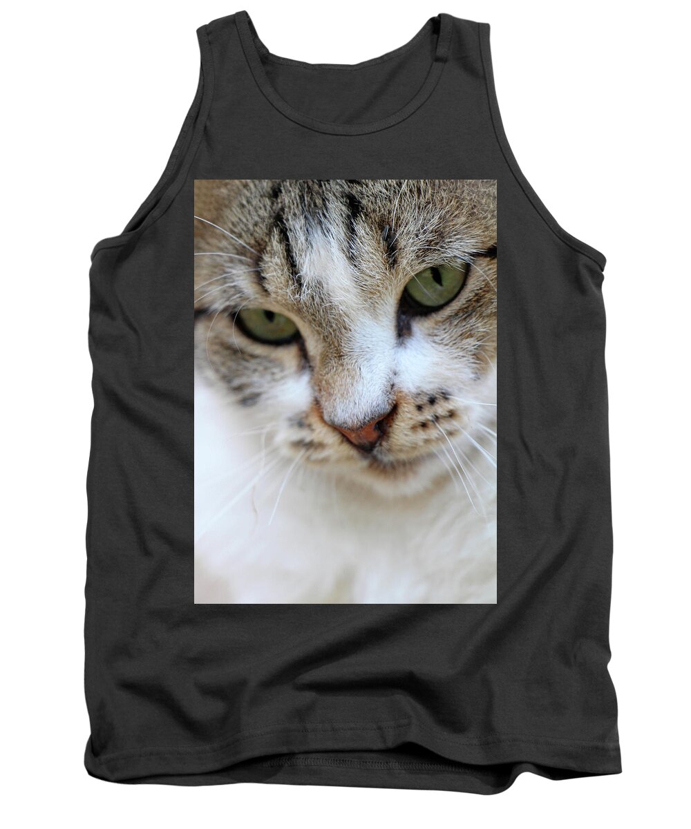 Cat Tank Top featuring the photograph Shyness by Munir Alawi