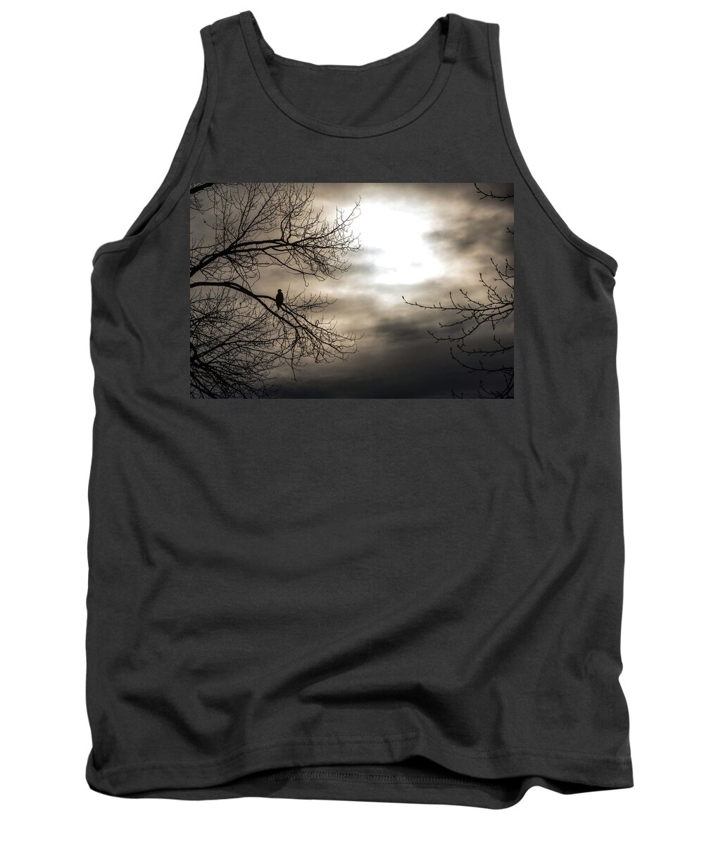 Bald Eagle Tank Top featuring the photograph Sillouette by David Kirby